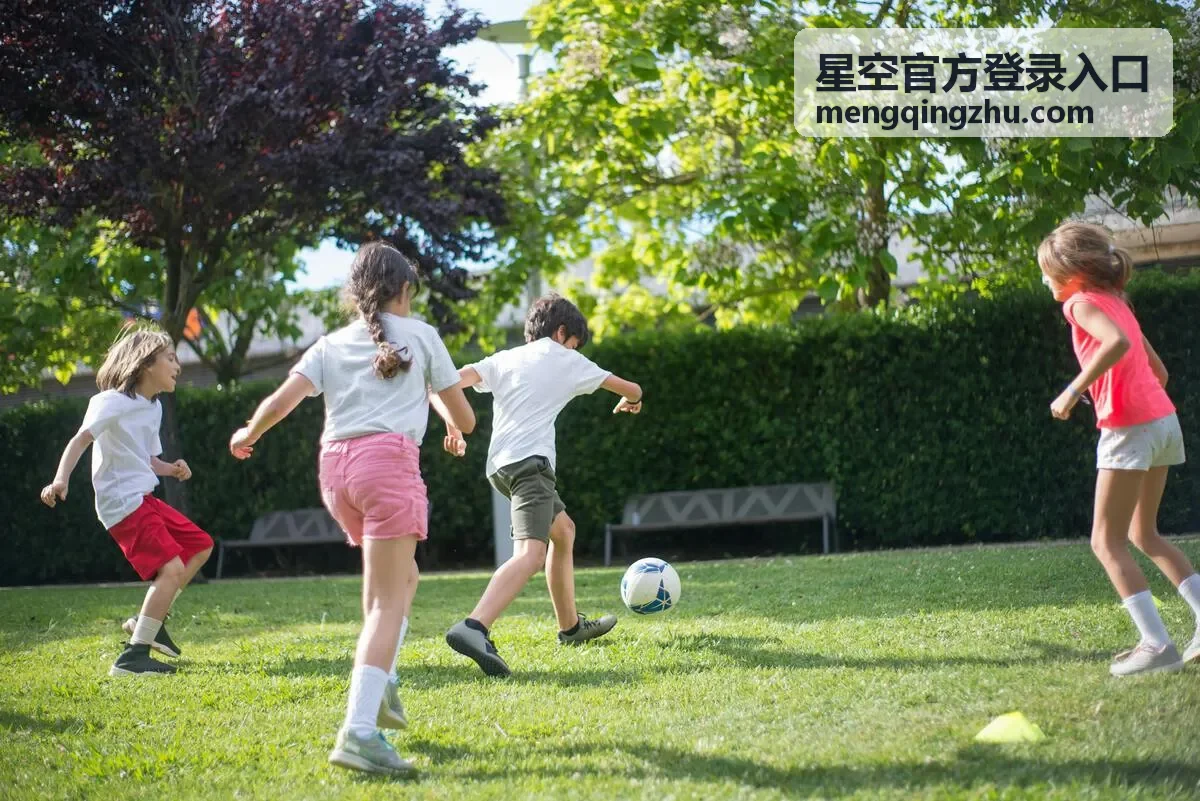 星空官方登录入口账号安全与验证说明